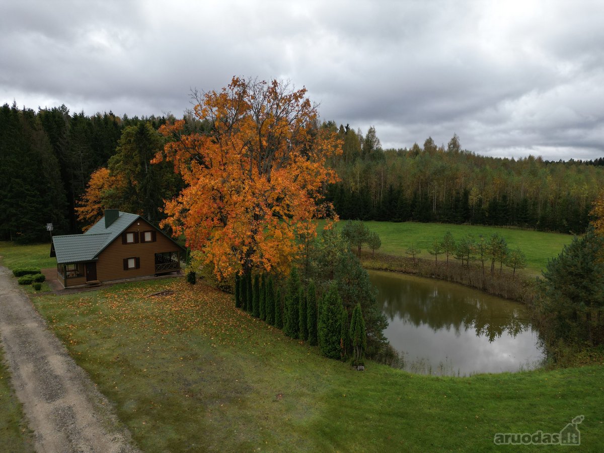 Sodyba atokiau nuo kaimynų, labai ramioje - nuotraukos Nr. 21