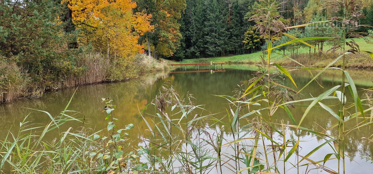 Sodyba atokiau nuo kaimynų, labai ramioje - nuotraukos Nr. 27