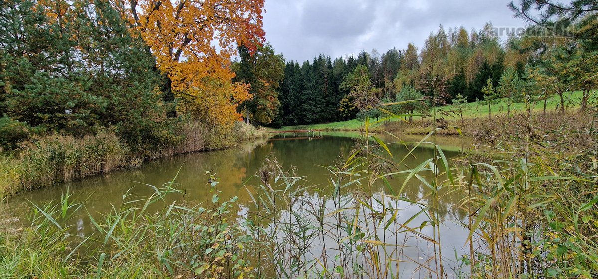 Sodyba atokiau nuo kaimynų, labai ramioje - nuotraukos Nr. 28