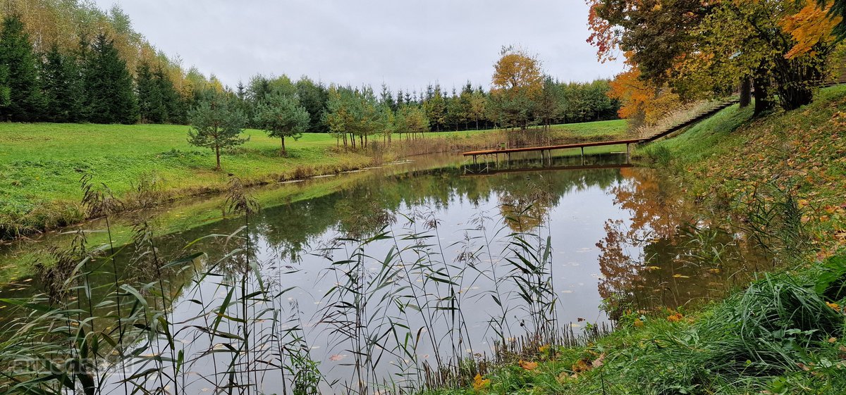 Sodyba atokiau nuo kaimynų, labai ramioje - nuotraukos Nr. 33