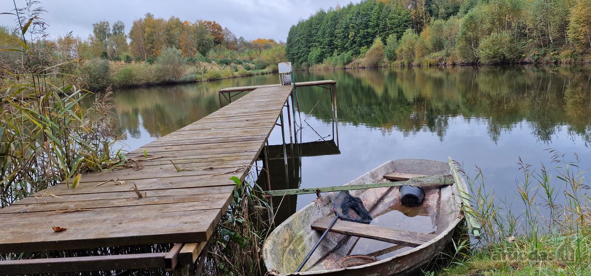 Sodyba atokiau nuo kaimynų, labai ramioje - nuotraukos Nr. 45