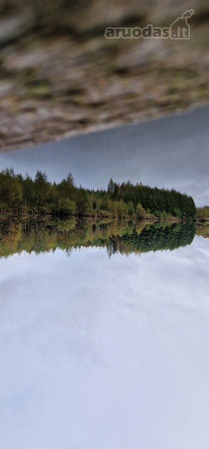 Sodyba atokiau nuo kaimynų, labai ramioje - nuotraukos Nr. 39