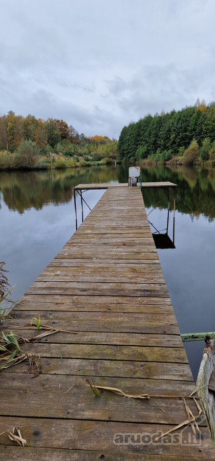 Sodyba atokiau nuo kaimynų, labai ramioje - nuotraukos Nr. 43