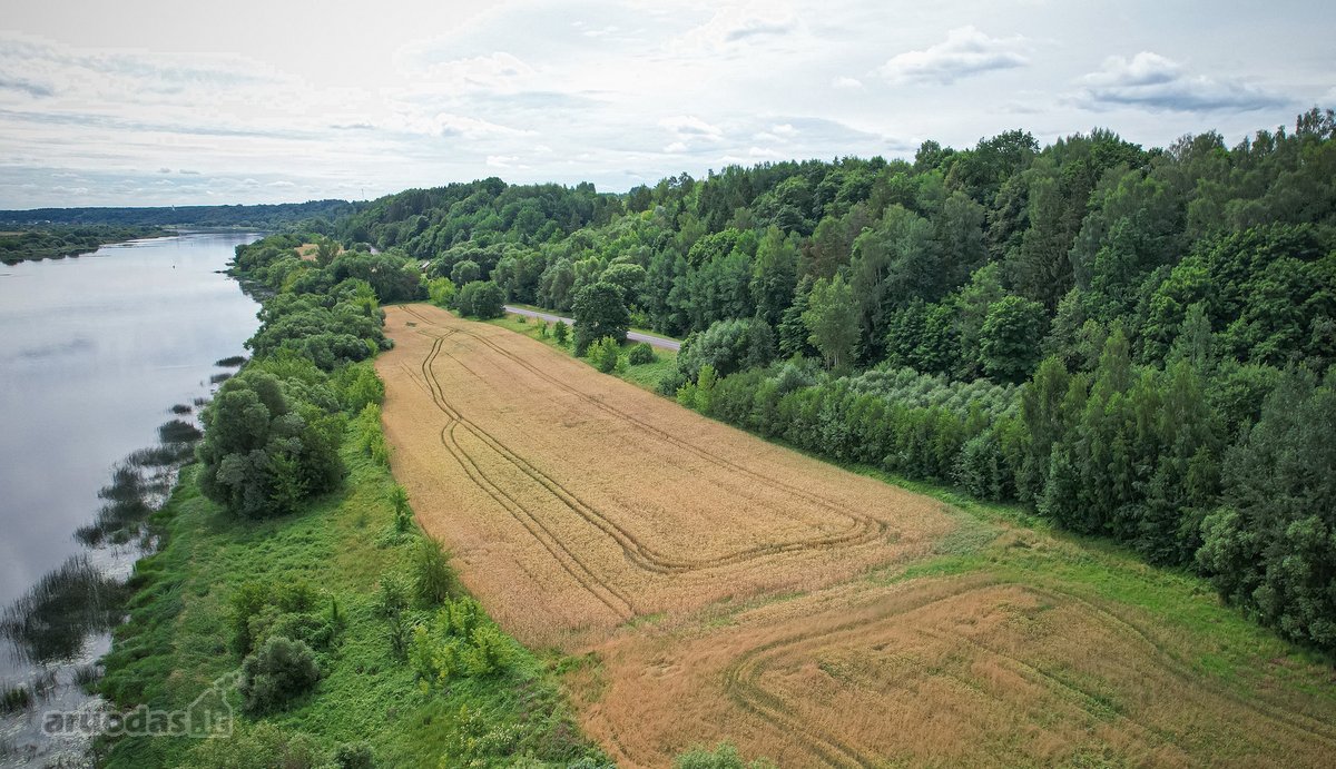 Parduodamas 8 ha žemės ūkio paskirties - nuotraukos Nr. 9