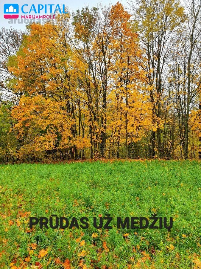 Parduodamas žemės ūkio paskirties žemės