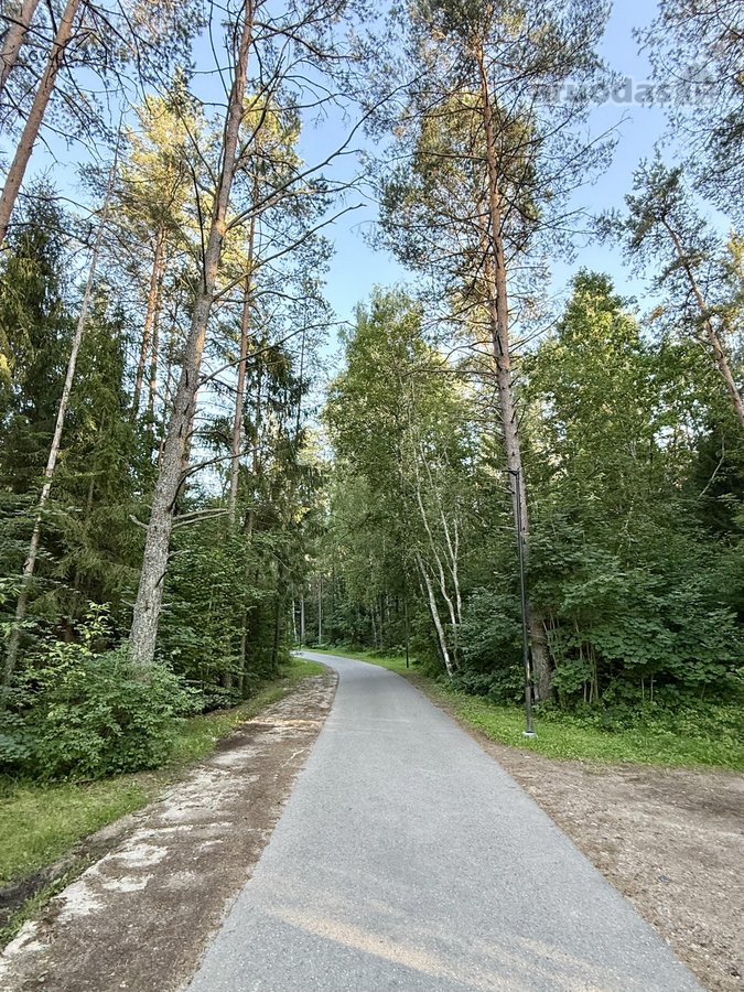 Parduodamas Išskirtinis 18,83 A Sklypas - nuotraukos Nr. 22