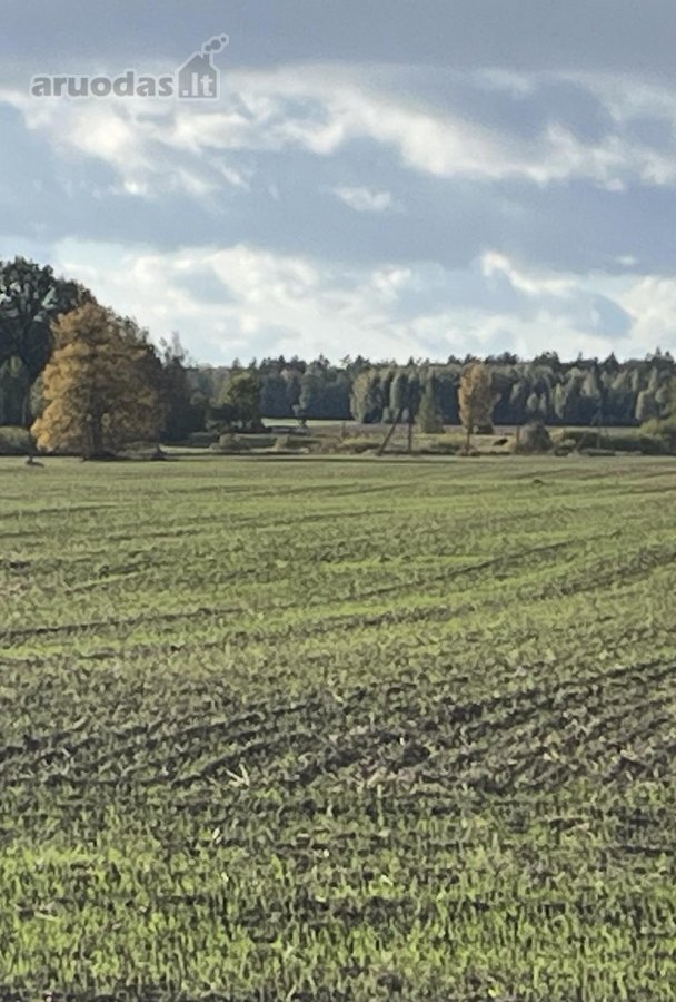 Netoli Kauno parduodamas 5,96 ha žemės ūkio
