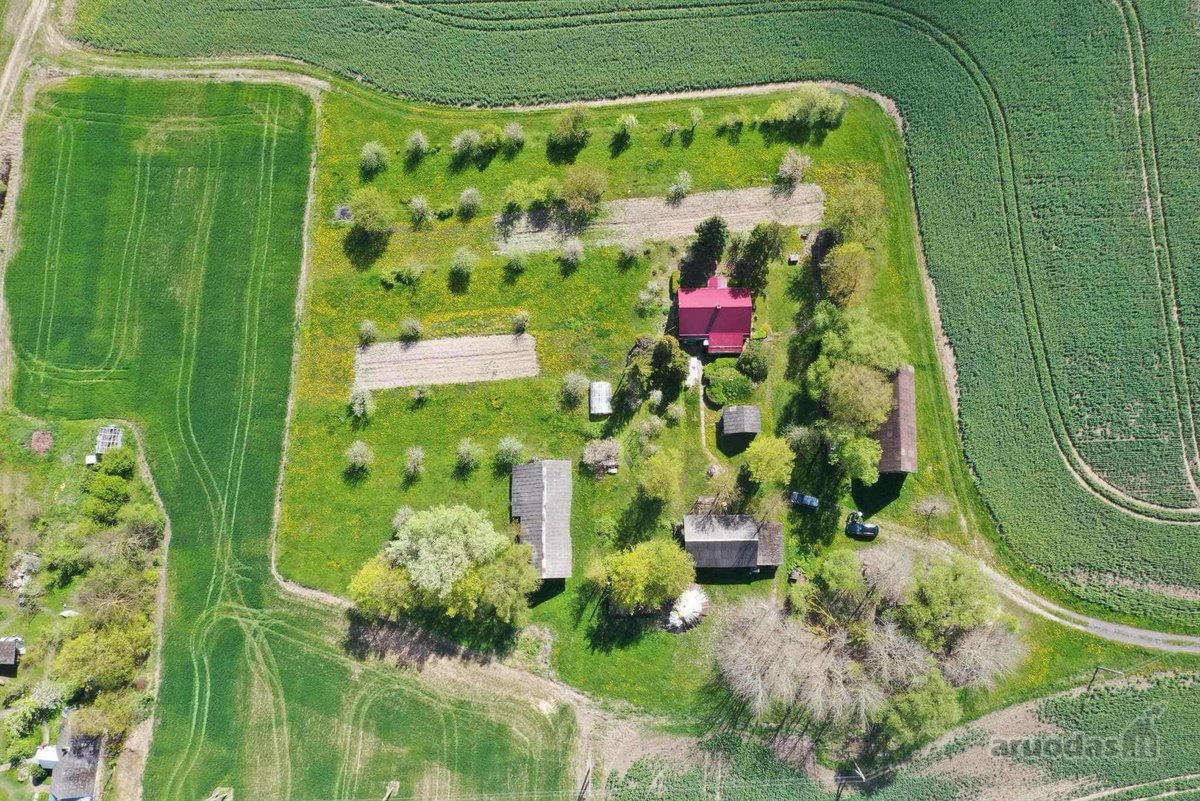 Parduodama sodyba Pasvalio raj. Šimonių k. - nuotraukos Nr. 2
