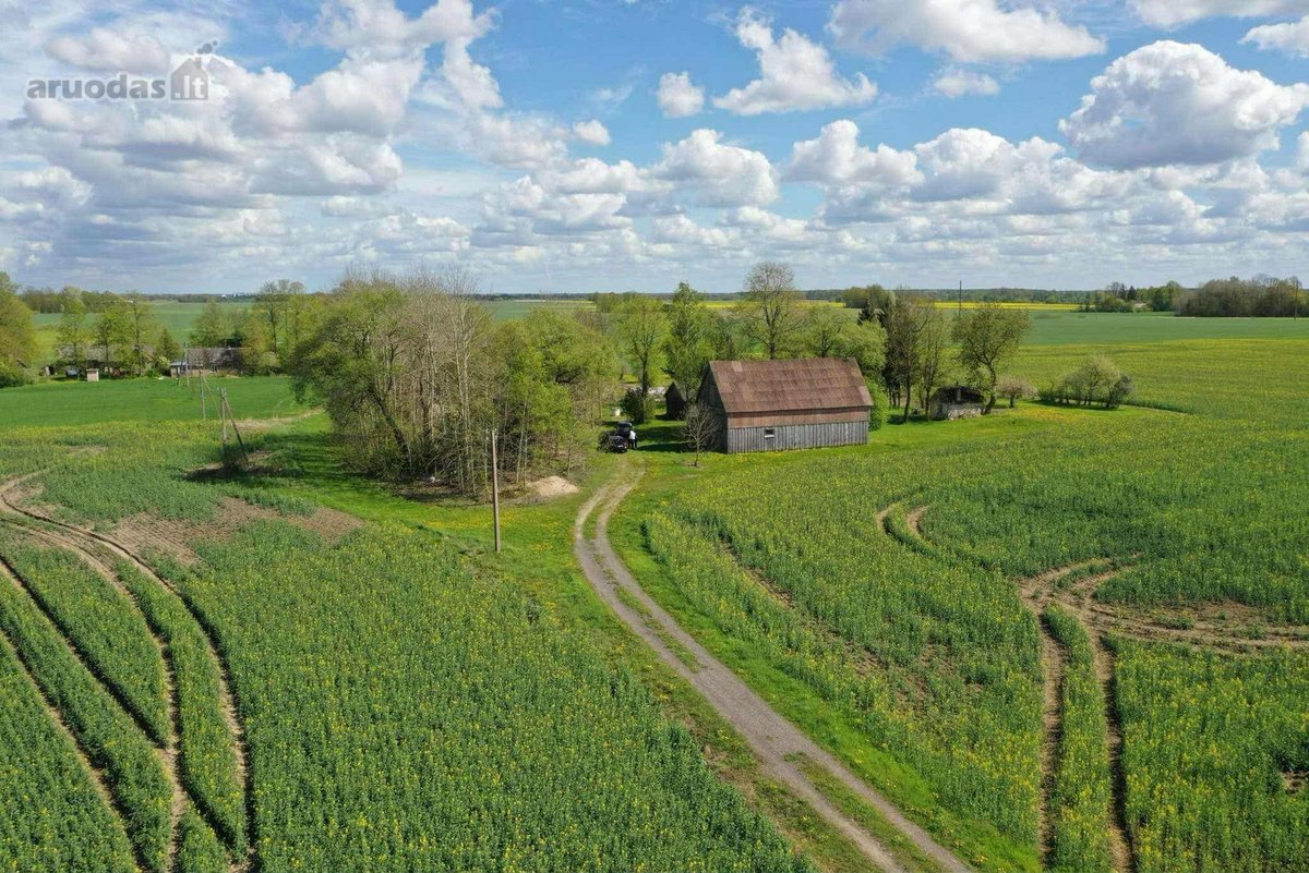 Parduodama sodyba Pasvalio raj. Šimonių k. - nuotraukos Nr. 9