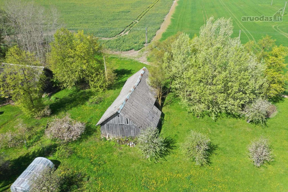 Parduodama sodyba Pasvalio raj. Šimonių k. - nuotraukos Nr. 10