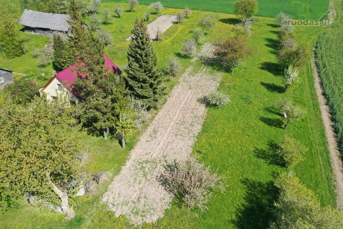 Parduodama sodyba Pasvalio raj. Šimonių k. - nuotraukos Nr. 18