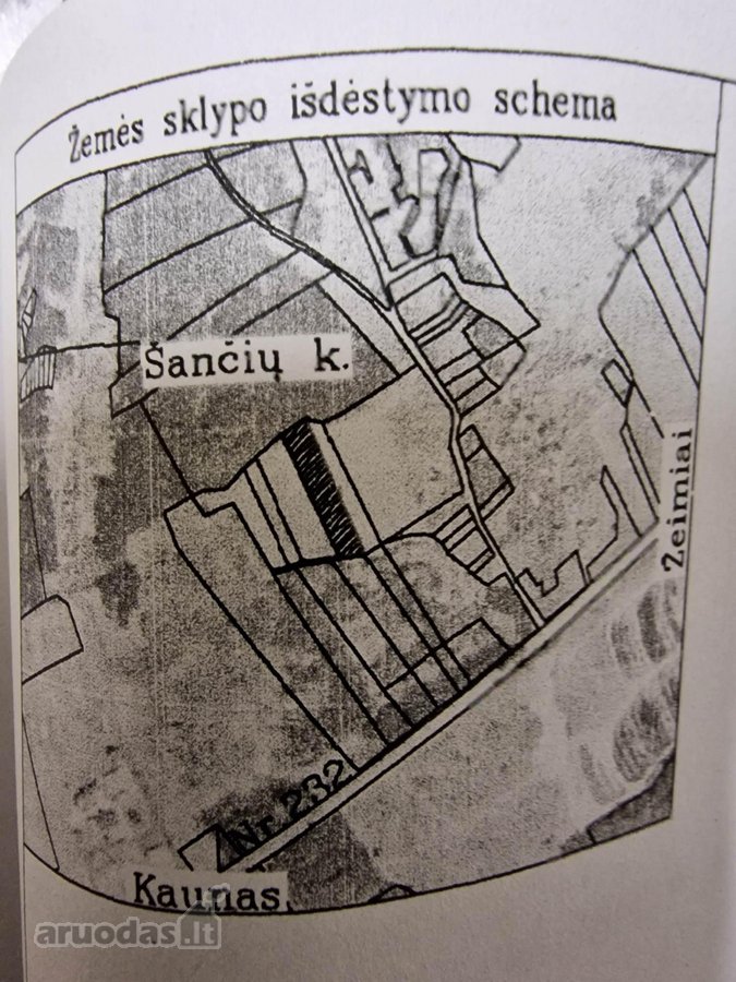 Išskirtinėje Vietoje, Pušyno Apsuptyje, - nuotraukos Nr. 16