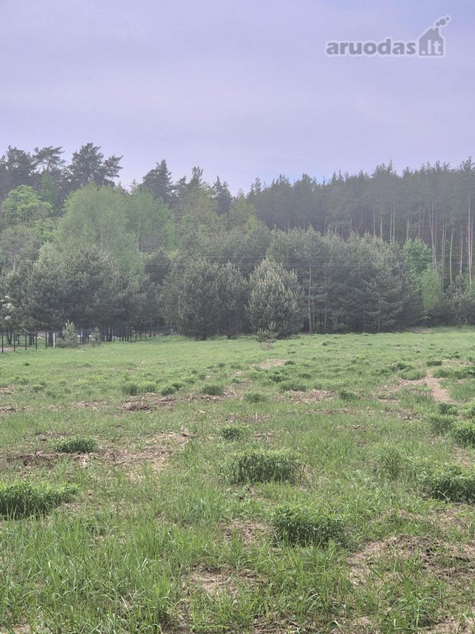 Išskirtinėje Vietoje, Pušyno Apsuptyje, - nuotraukos Nr. 18