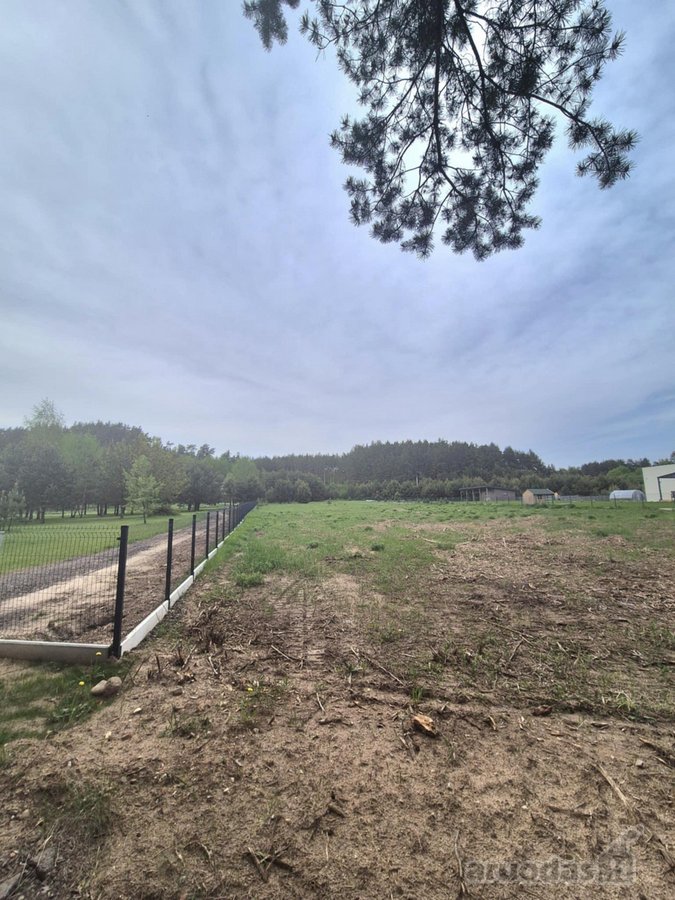 Išskirtinėje Vietoje, Pušyno Apsuptyje, - nuotraukos Nr. 19