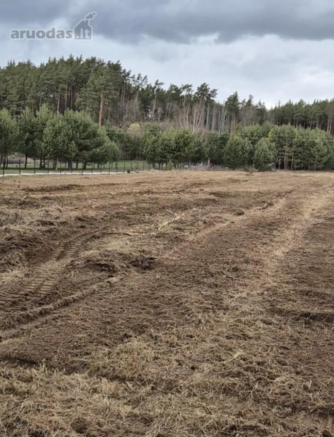 Išskirtinėje Vietoje, Pušyno Apsuptyje, - nuotraukos Nr. 23