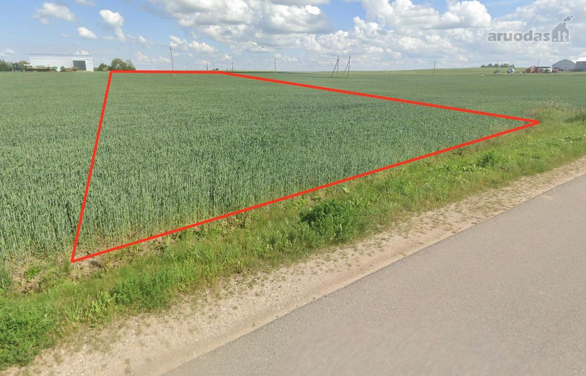 Parduodamas žemės sklypo plotas - 0.5622 ha, - nuotraukos Nr. 2