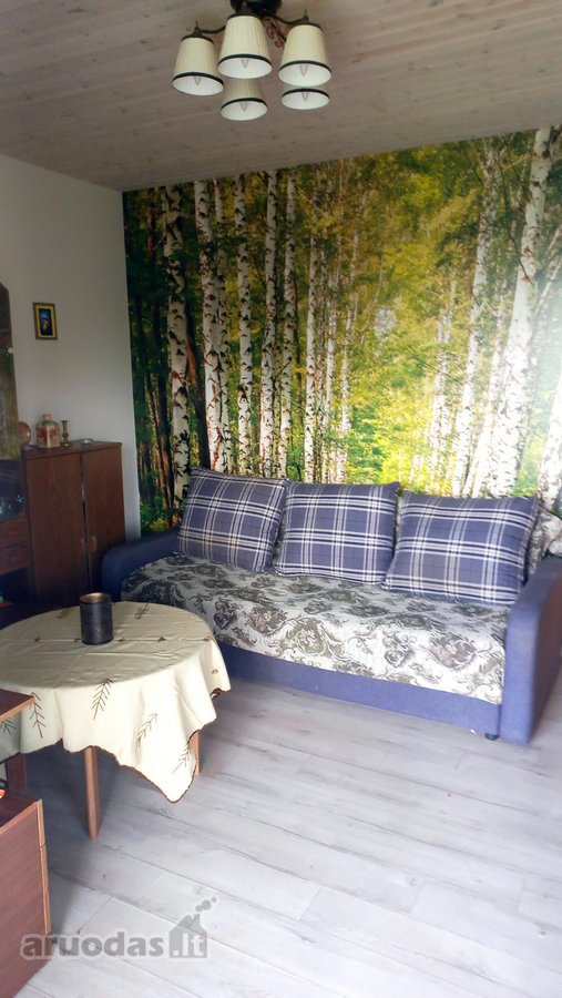 Parduodamas 2018 m. statybos karkasinis namas - nuotraukos Nr. 2