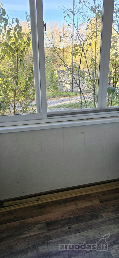 Bukčių g., pušyno apsuptyje, šalia Neries – - nuotraukos Nr. 20