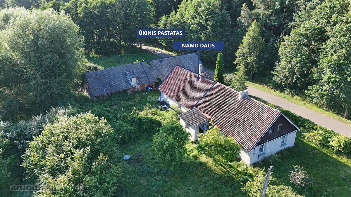 Sodyba prie Kuršių marių – puiki vieta - nuotraukos Nr. 2