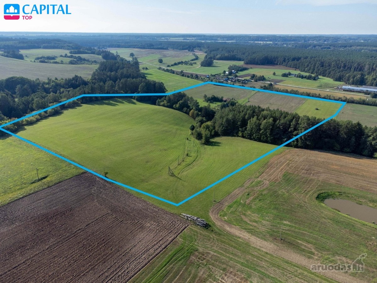 Autentiška sodyba su 15 ha žemės Nemuno kilpų - nuotraukos Nr. 3