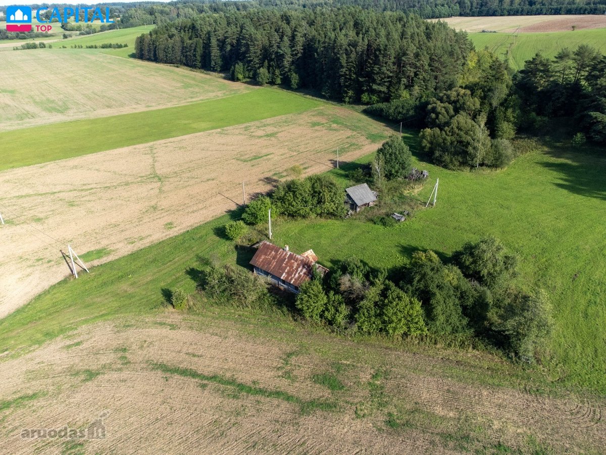 Autentiška sodyba su 15 ha žemės Nemuno kilpų - nuotraukos Nr. 5