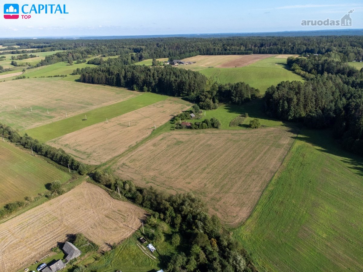 Autentiška sodyba su 15 ha žemės Nemuno kilpų - nuotraukos Nr. 6