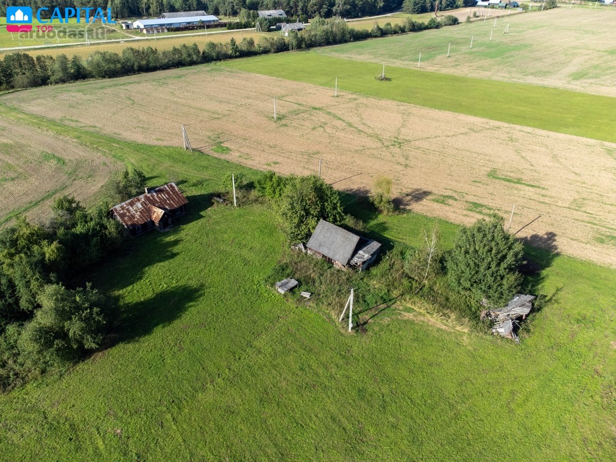 Autentiška sodyba su 15 ha žemės Nemuno kilpų - nuotraukos Nr. 7