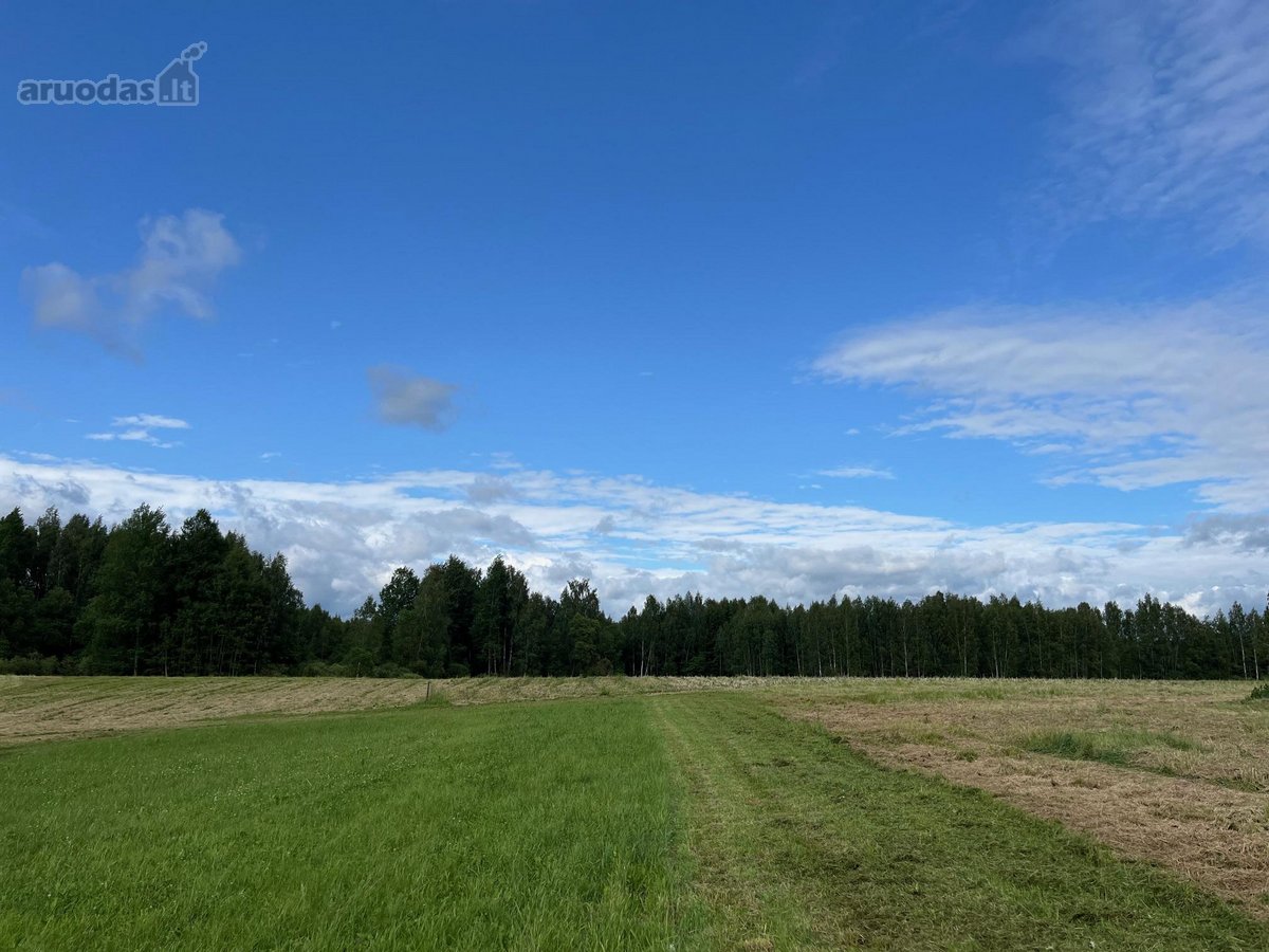 Parduodama sodyba su 12,41 ha žemės sklypu - nuotraukos Nr. 6