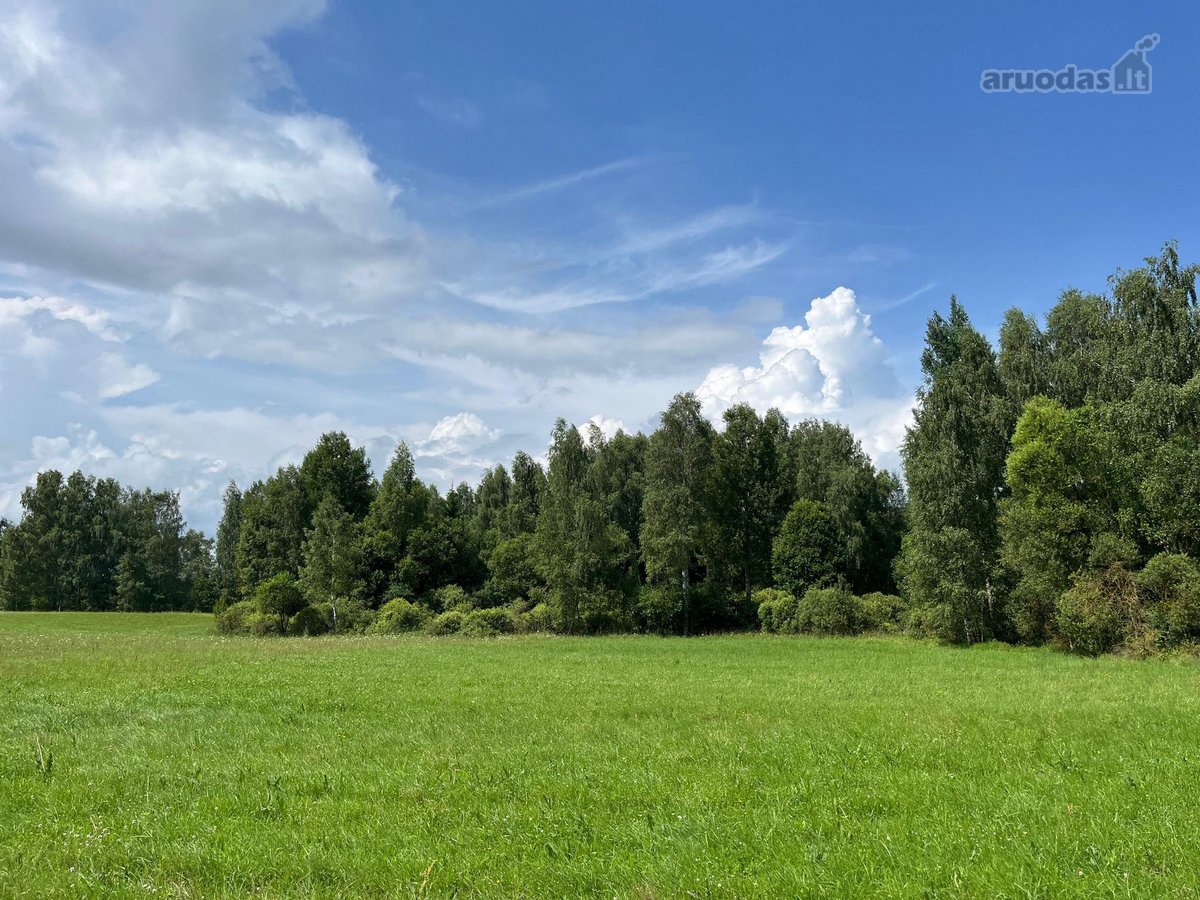 Parduodama sodyba su 12,41 ha žemės sklypu - nuotraukos Nr. 7