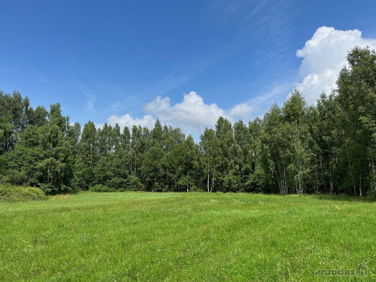 Parduodama sodyba su 12,41 ha žemės sklypu - nuotraukos Nr. 8