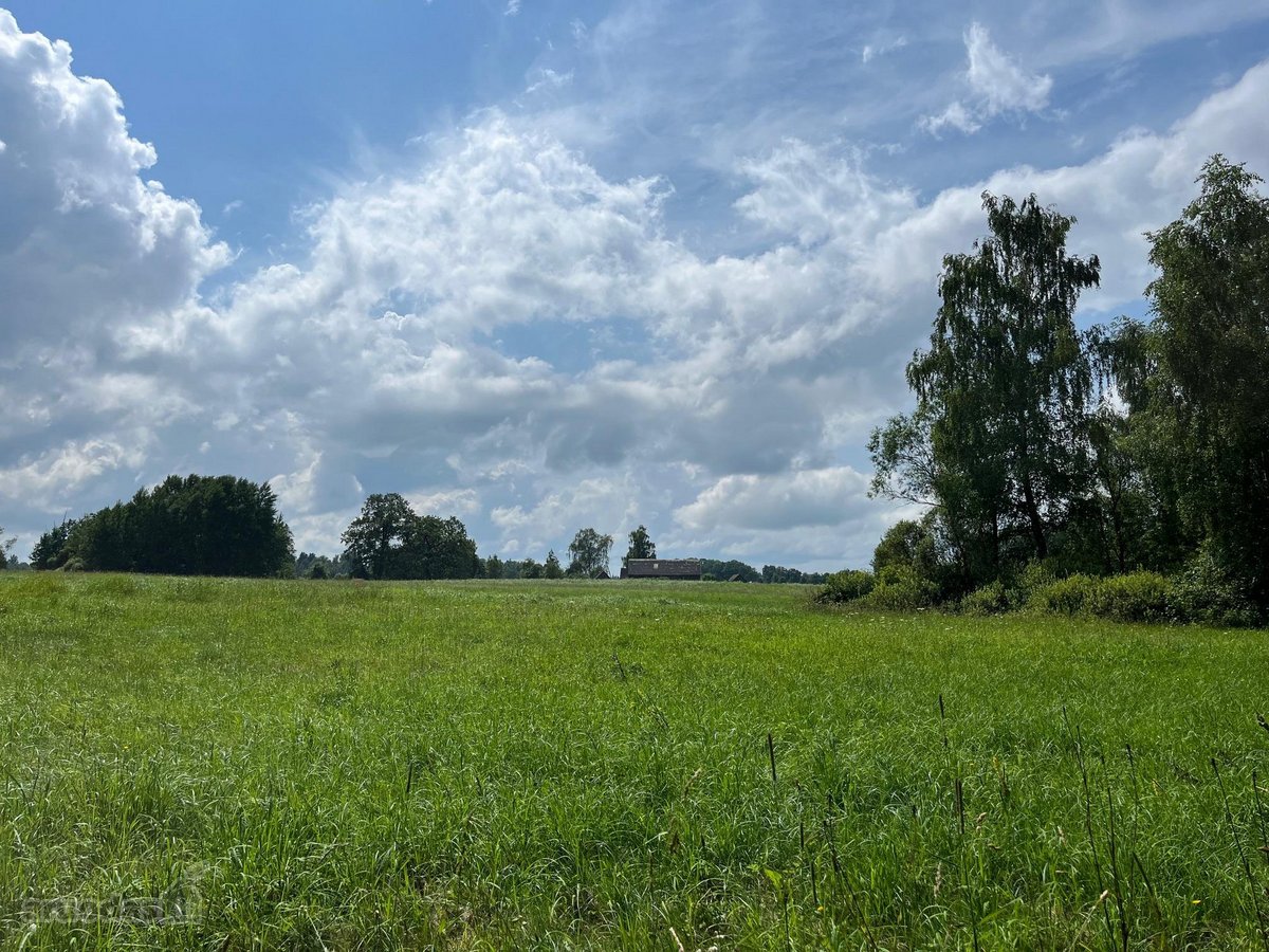 Parduodama sodyba su 12,41 ha žemės sklypu - nuotraukos Nr. 9