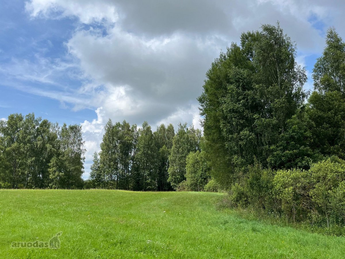 Parduodama sodyba su 12,41 ha žemės sklypu - nuotraukos Nr. 10
