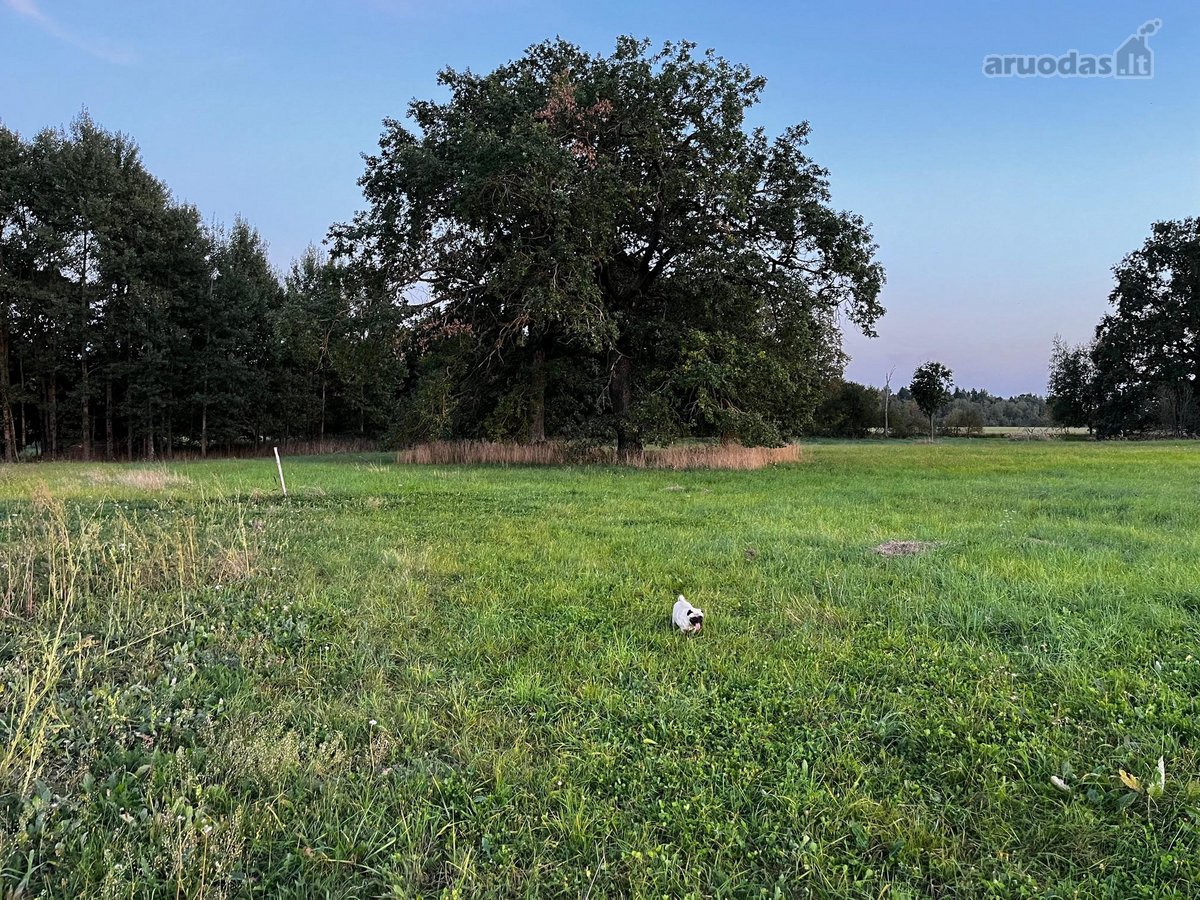 Parduodama sodyba su 12,41 ha žemės sklypu - nuotraukos Nr. 15
