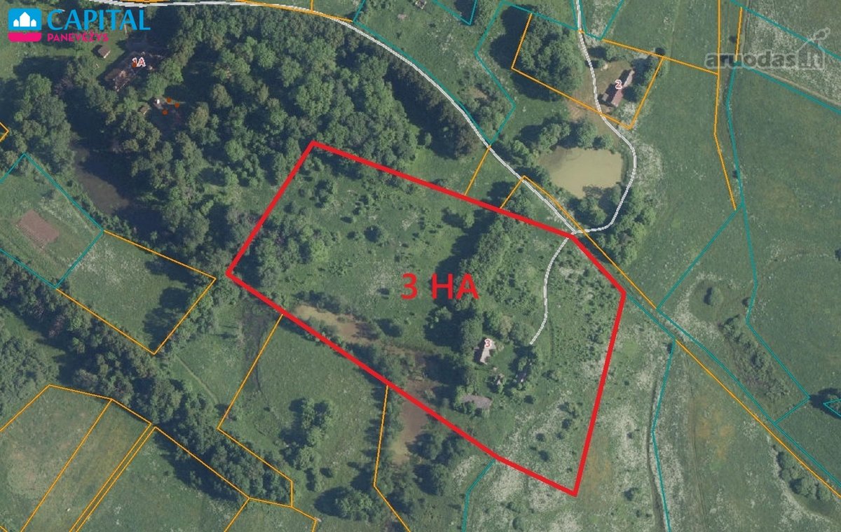 Parduodamas 3 Hektarų Sklypas Rokiškio Rajone - nuotraukos Nr. 7
