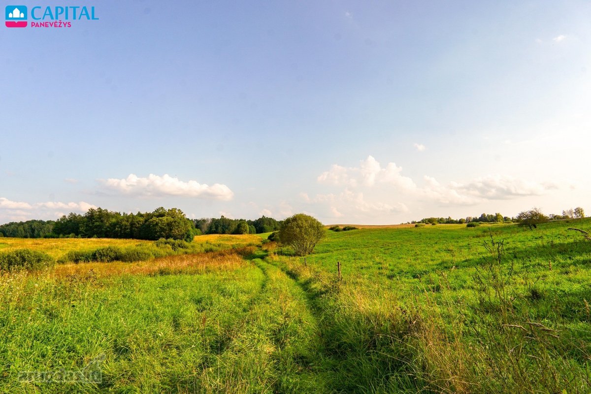 Parduodamas 3 Hektarų Sklypas Rokiškio Rajone - nuotraukos Nr. 8