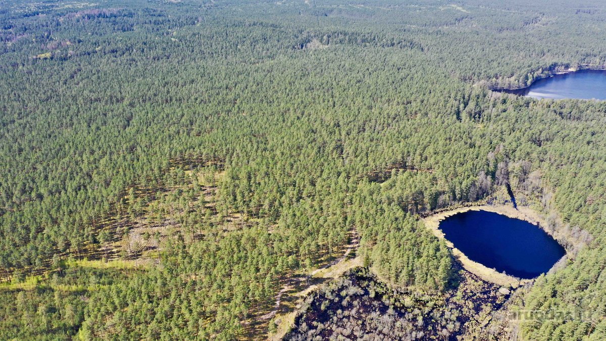 Parduodamas žemės sklypas 519 a ploto, visai - nuotraukos Nr. 8