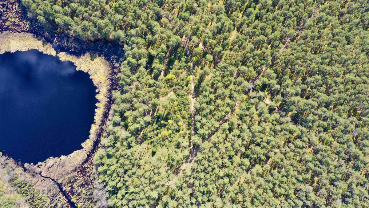 Parduodamas žemės sklypas 519 a ploto, visai - nuotraukos Nr. 9