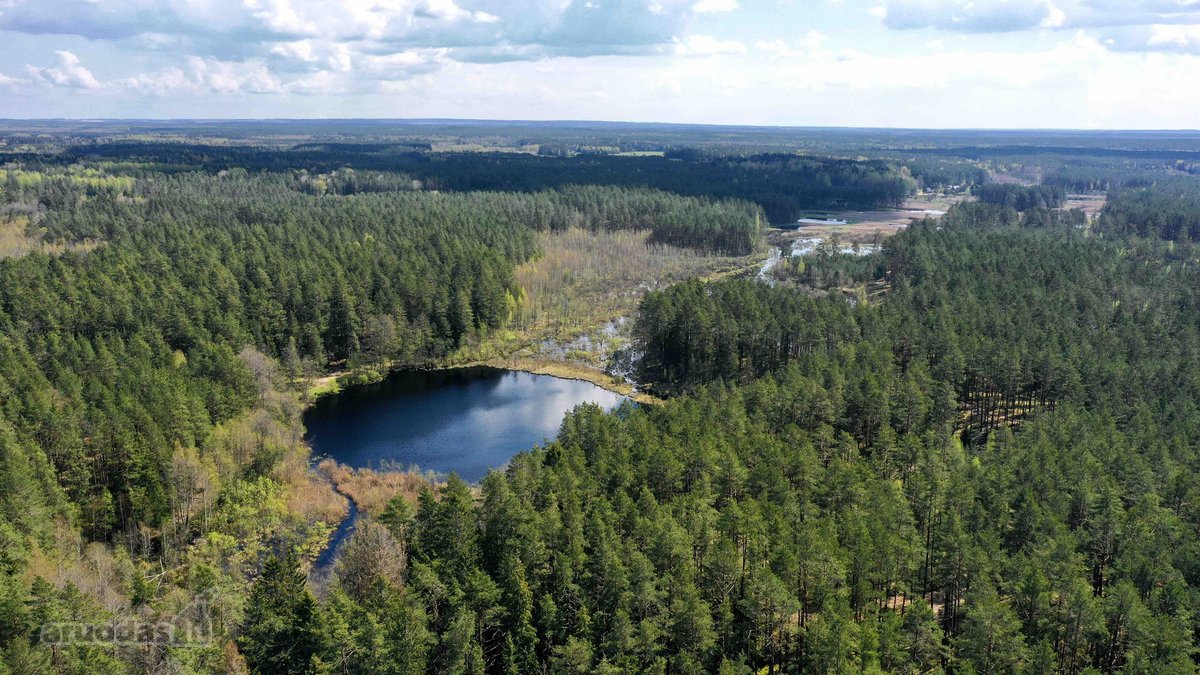 Parduodamas žemės sklypas 519 a ploto, visai - nuotraukos Nr. 13