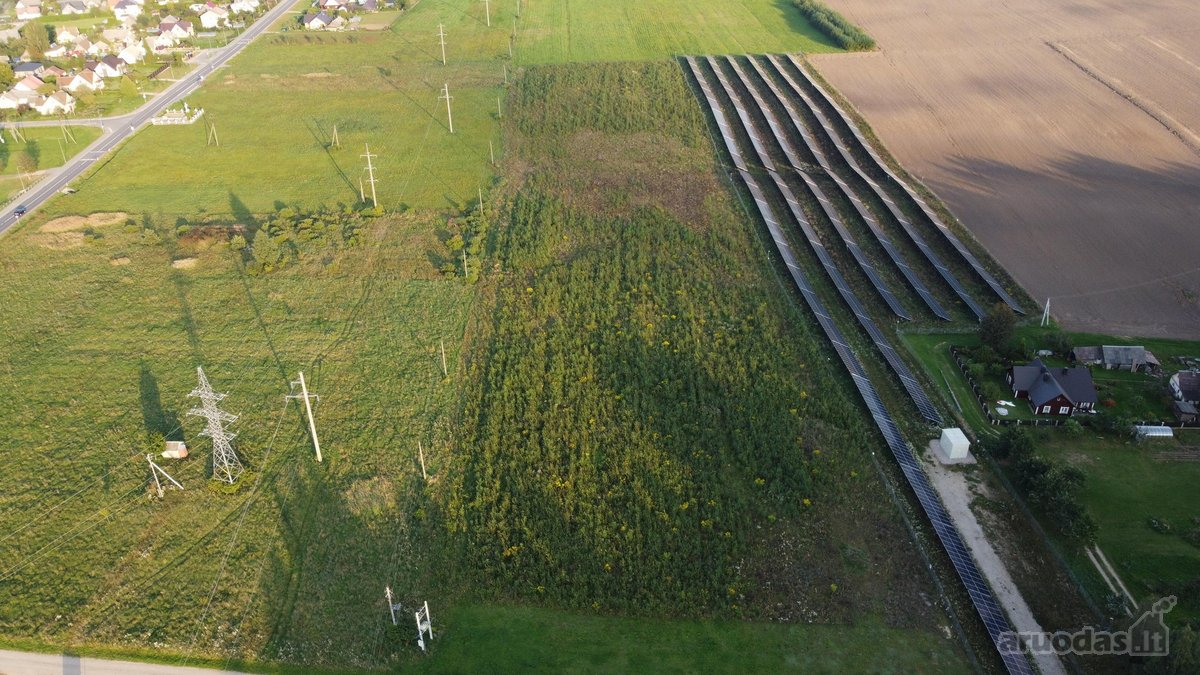 Parduodamas 300 arų sklypas Palubėlių kaime, - nuotraukos Nr. 5