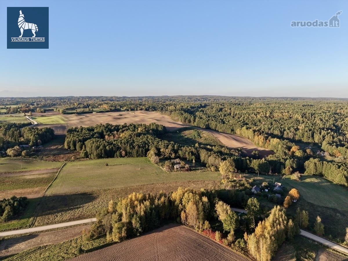 Svajonių sodybos vieta – du sklypai tarp - nuotraukos Nr. 5