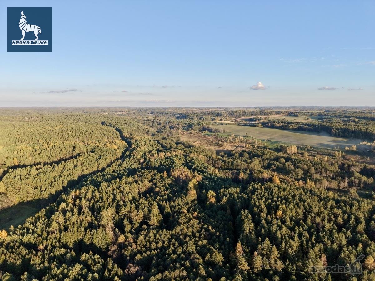 Svajonių sodybos vieta – du sklypai tarp - nuotraukos Nr. 4