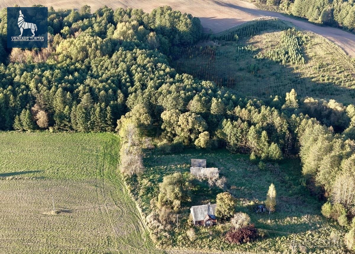 Svajonių sodybos vieta – du sklypai tarp - nuotraukos Nr. 3