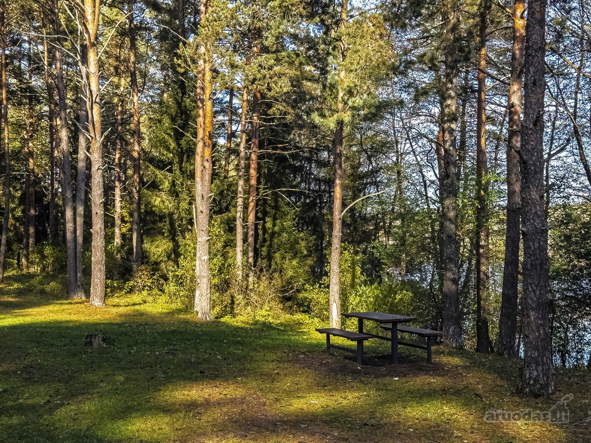 Šviesus, Stilingas Ir Jaukus A+ Klasės Namas - nuotraukos Nr. 25