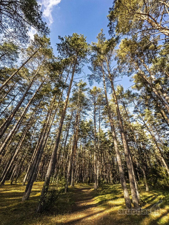 Šviesus, Stilingas Ir Jaukus A+ Klasės Namas - nuotraukos Nr. 26