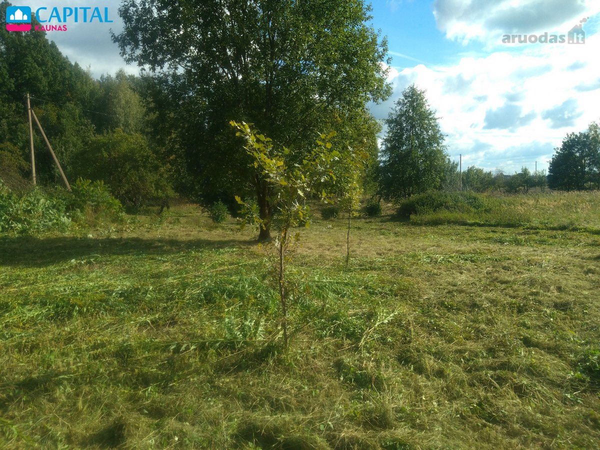 Ramioje vietoje tarp miškų, parduodamas - nuotraukos Nr. 2
