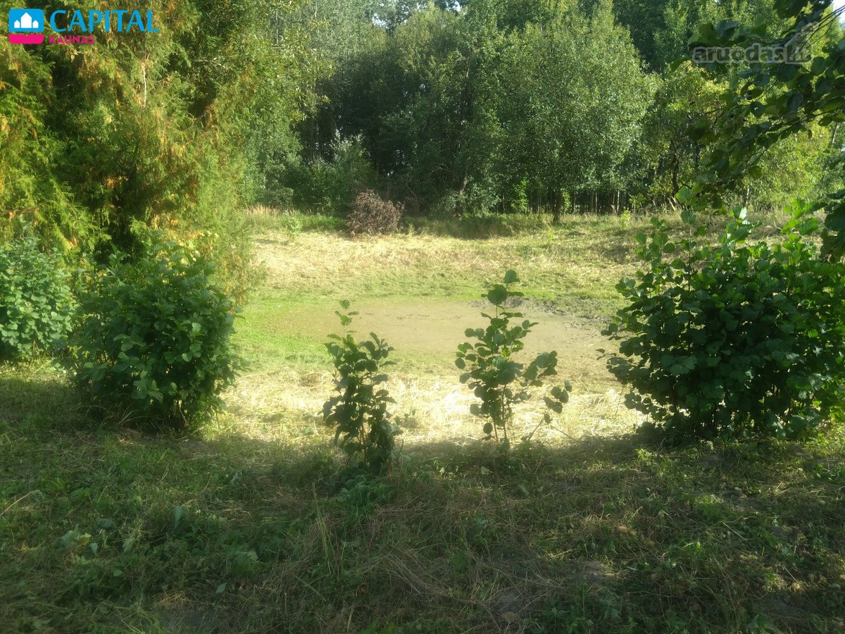 Ramioje vietoje tarp miškų, parduodamas - nuotraukos Nr. 3