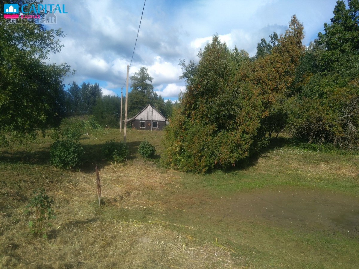 Ramioje vietoje tarp miškų, parduodamas - nuotraukos Nr. 4