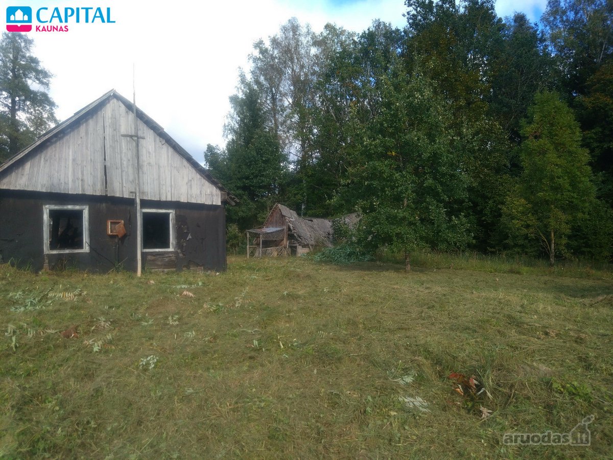 Ramioje vietoje tarp miškų, parduodamas - nuotraukos Nr. 5