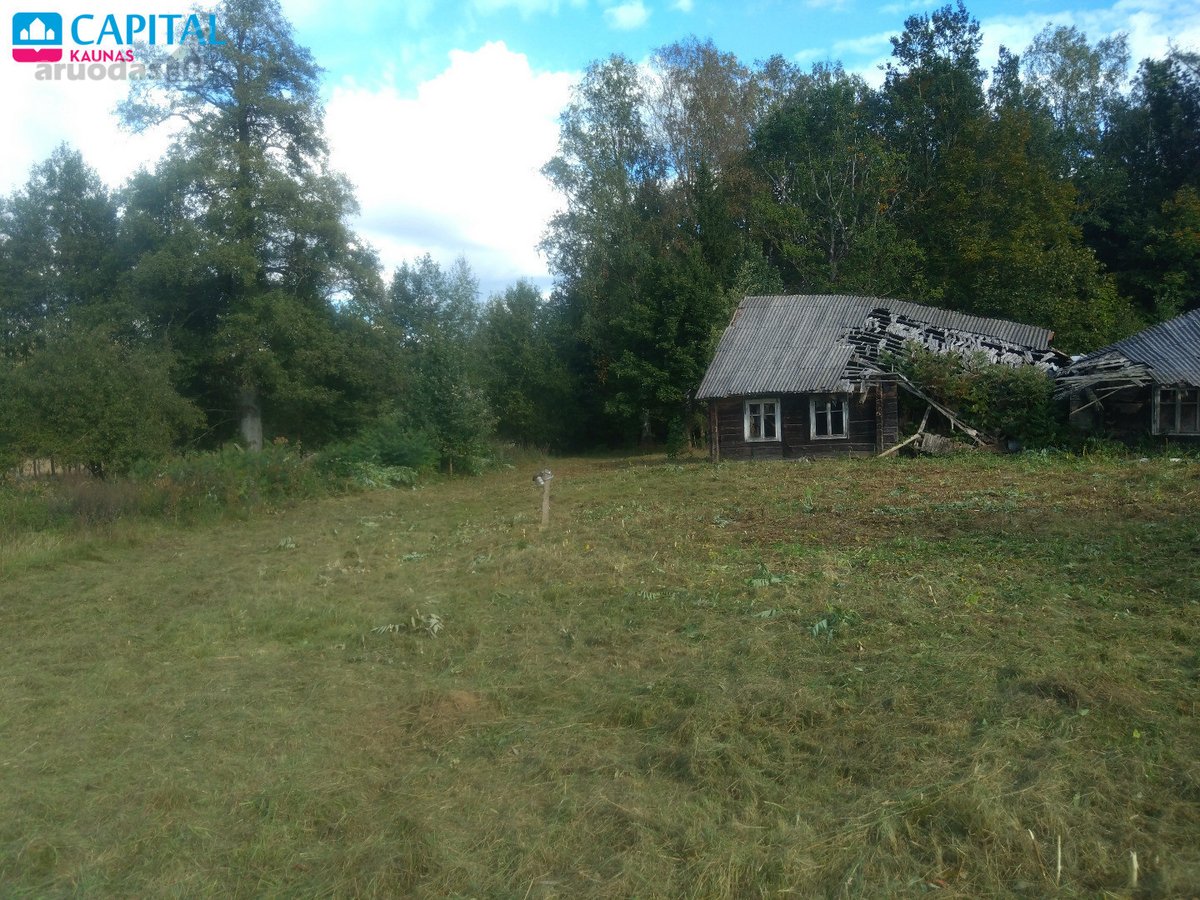 Ramioje vietoje tarp miškų, parduodamas - nuotraukos Nr. 6