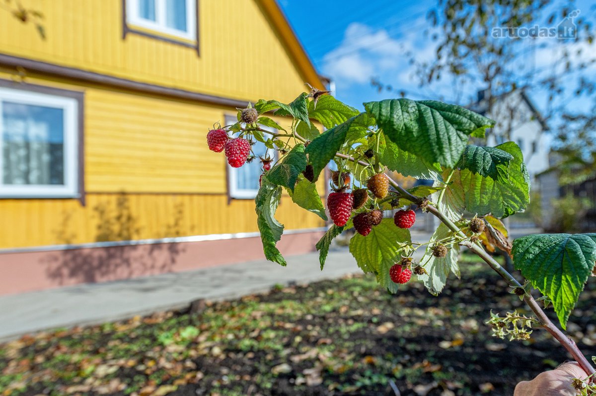 Parduodama Tvarkinga Namo Dalis Su 4 Arais Ir - nuotraukos Nr. 3